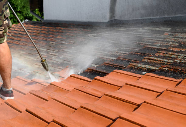 Best Roof Pressure Washing  in Itasca, TX